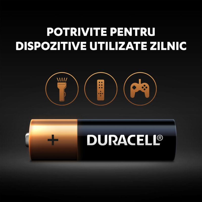 Baterii-alcaline-Duracell-AA-2