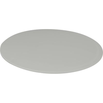 Profoto Frosted Glass Sticla pentru Reflector Softlight