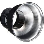 ProfotoZoomReflector2