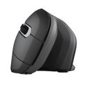Trust Verro Mouse Wireless Ergonomic Negru/Gri
