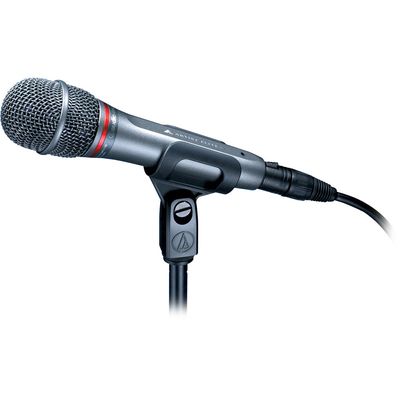 Audio-Technica AE6100 Microfon Dinamic Hipercardioid