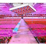 KathayLEDGrowLightLampaCresterePlante45W