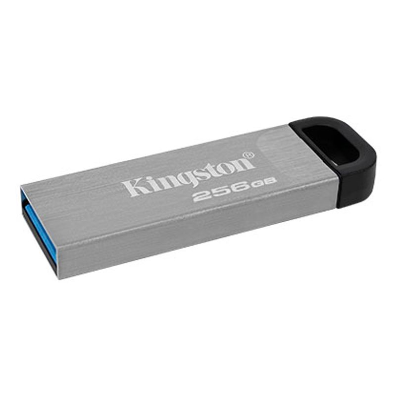 ktc-product-usb-dtkn-256gb-2-lg