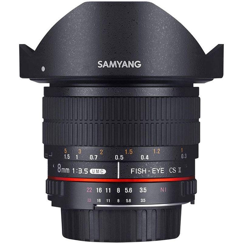 New-Project---2020-11-25T165551.122