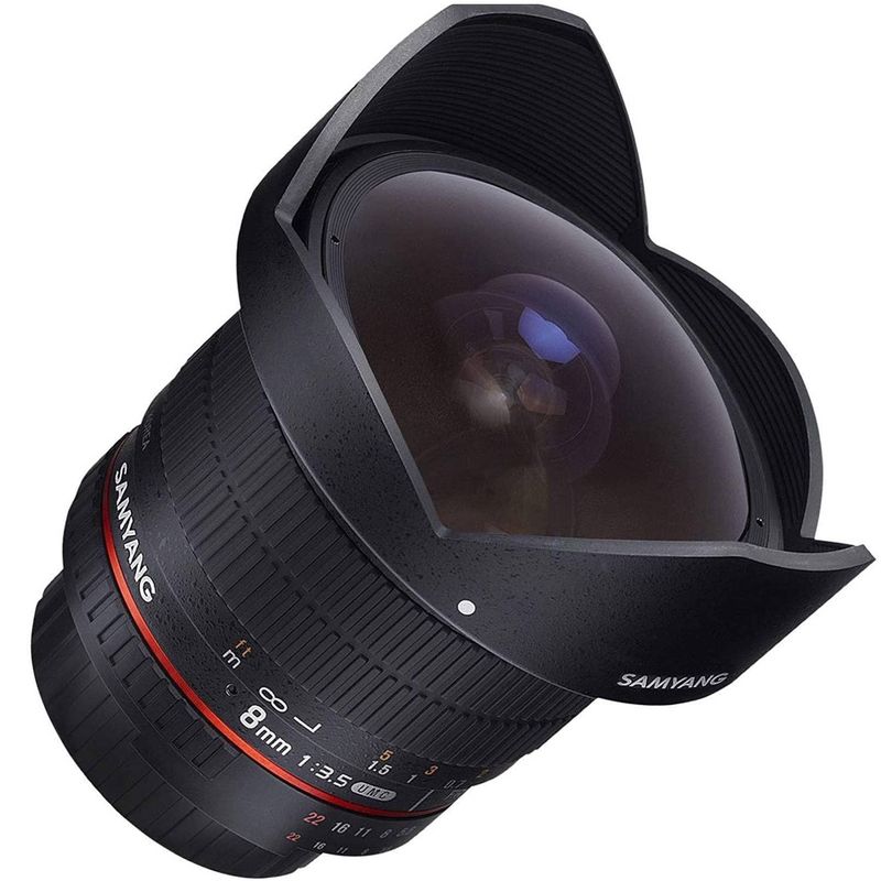 New-Project---2020-11-25T165644.592