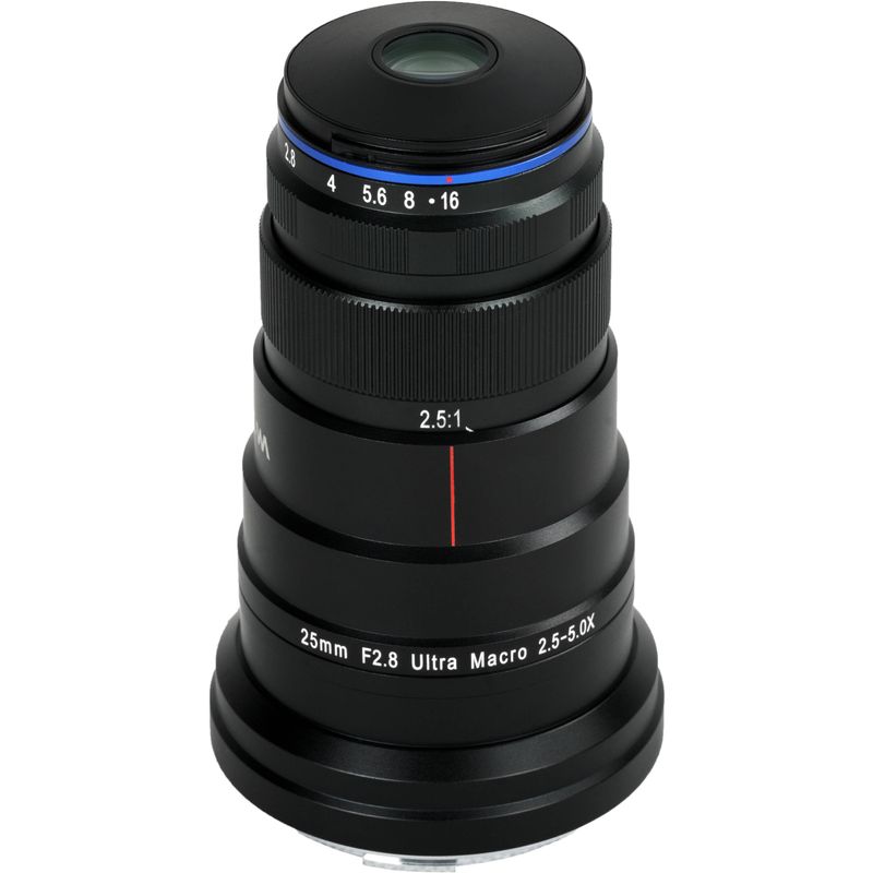 1575287200_IMG_1283915