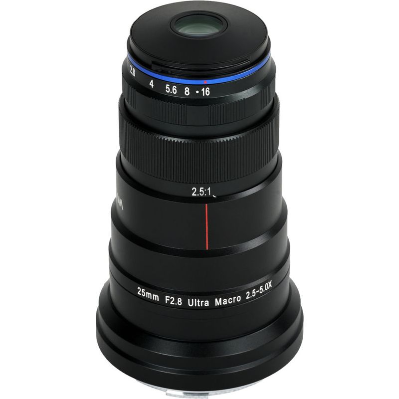 1575287200_IMG_1283940