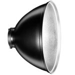 Dynaphos-Magnum-Reflector-35-cm