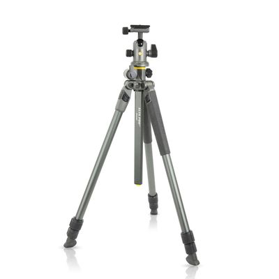 Vanguard Alta Pro 2+ 263AB 100 Kit Trepied Foto