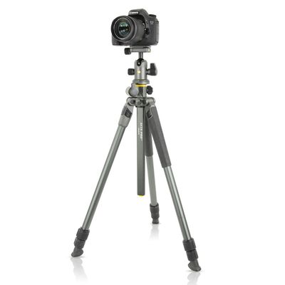 Vanguard Alta Pro 2+ 263AB 100 Kit Trepied Foto