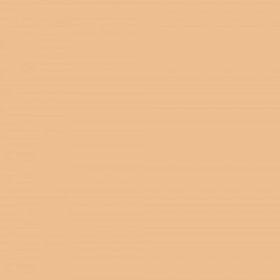 Colorama Fundal carton 2.72 x 11m Caramel