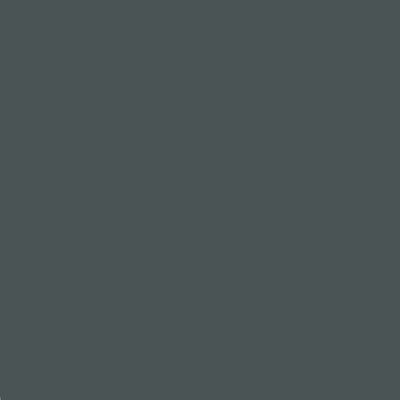 WF Fancier Fundal de Hartie Thunder Grey 2.72x10 m