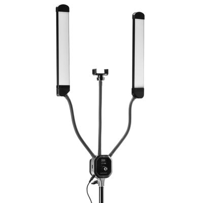 WF Fancier Lampa Dubla LED 50W