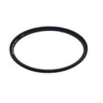 Hoya-Instant-Action-Inel-Adaptor-Filtru-Magnetic-Montare-pe-Obiectiv-Foto-58mm
