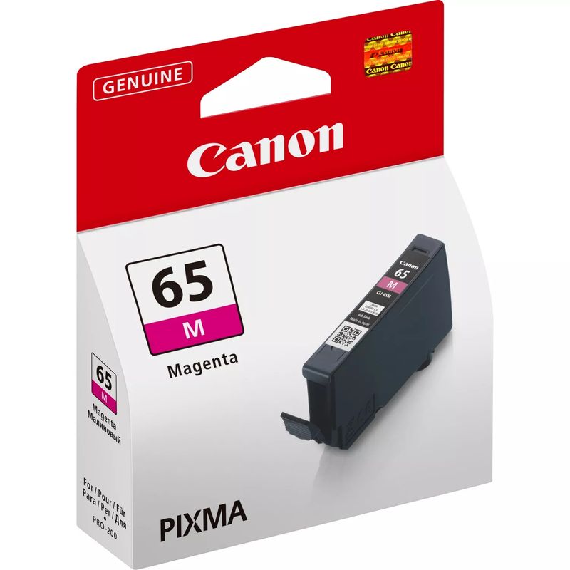 4217c001_pixma-pro-200_02