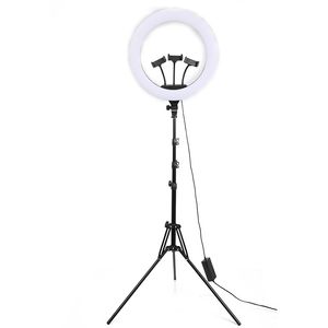 Fancier FL-18P Lampa LED 18" Circulara Bicolora