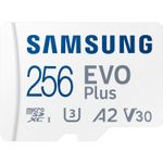 SamsungEvoPlus256GB