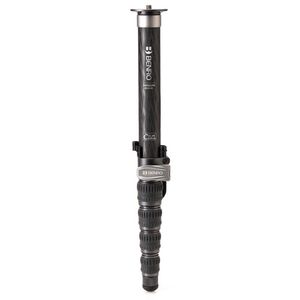 Benro MSD46C SupaDupa Monopod Fibra de Carbon 182 cm