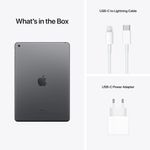 Apple-iPad-9-2021-Space-Grey.4