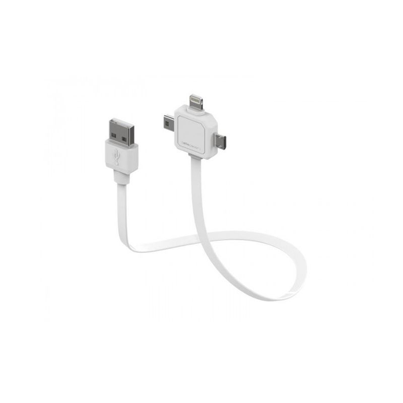 Allocacoc-9002-UC80CN-Power-USB-Cablu-Date-Mini-USB-Micro-USB-Apple-Lightning-0.8m--Alb.1