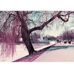 Analogue-Quartet-Pachet-4-Filme-Color-35mm.6