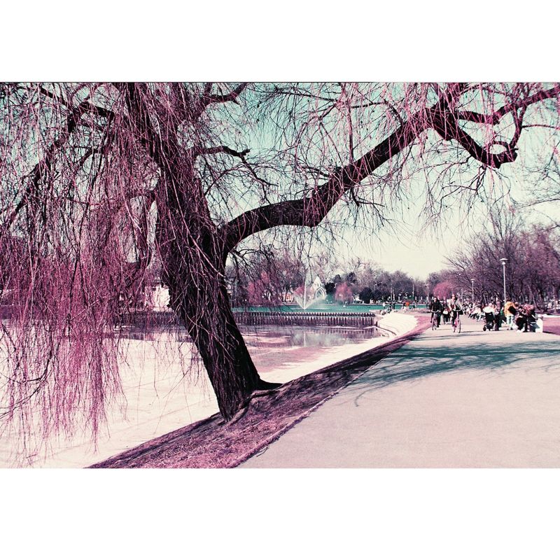 Analogue-Quartet-Pachet-4-Filme-Color-35mm.6
