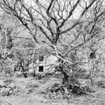 8102121_Sample