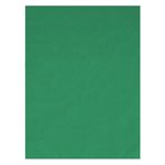 TNBInfluenceFundalTextilVerdeChroma150cmX200cm