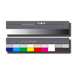 Danes Picta BST14 Ghid de Separare a Culorilor Color si Gri
