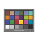 Danes Picta BST11 Colour Chart 24 Culori 19x14 cm