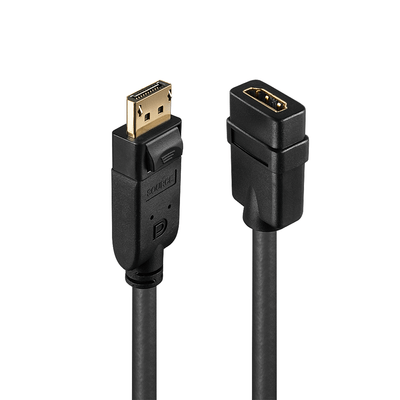 Lindy LY-41005 Adaptor DisplayPort 1.2 la HDMI 1.3 Negru
