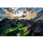 SonyFE2470mmF28GMIIObiectivFullFramecuZoomStandardGMaster