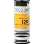 KodakGold120ISO2001