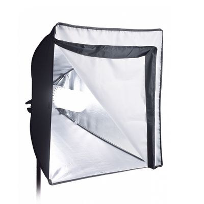 Kaiser #3167 Studiolight E70 Kit Lumina Continua 2x65W