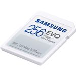Samsung-Evo-Plus-Full-Size-Card-de-Memorie-SDXC-256GB.2