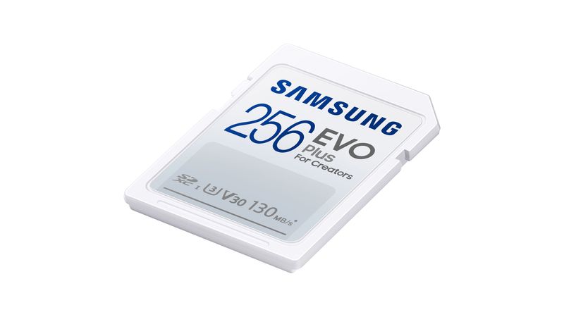 Samsung Evo Plus Full-Size Card de Memorie SDXC 256GB- F64.ro - F64.ro