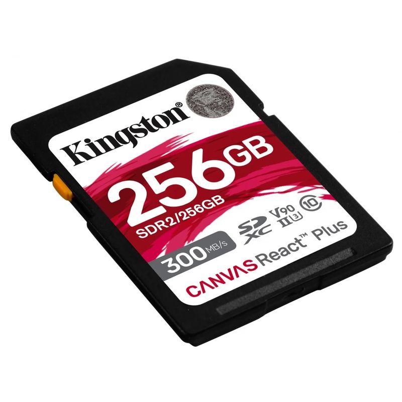 1850519_kingston-sdr2-256gb