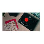 AudioTechnicaATLP5XPlatanCompletManualcuComandaDirecta4