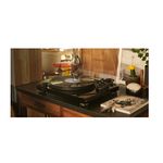 AudioTechnicaATLPW50PBPlatanCompletManualcuActionarecuCurea3