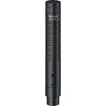 Tascam TM-200SG Microfon Shotgun