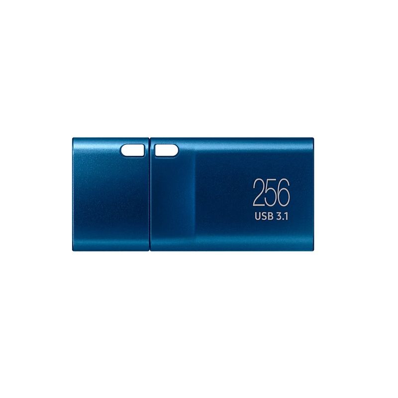 Samsung-MUF-256DA-APC-USB-Flash-Drive-Type-C-256GB.3
