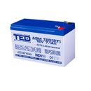 Ted Battery Expert Holland AGM TED003225 Acumulator VRLA 12V 7.1A F2