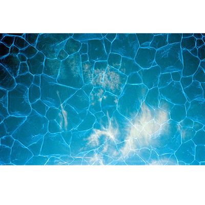 Revolog Plexus 400 Film Color Negativ 35mm 36 Cadre
