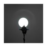 NanlitePJFMM36OpticalSpot36grade4