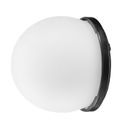 Westcott Glob Difuzie pentru FJ200