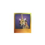 PolaroidMetallicSpectrumEditionFilmColorpentruiType3