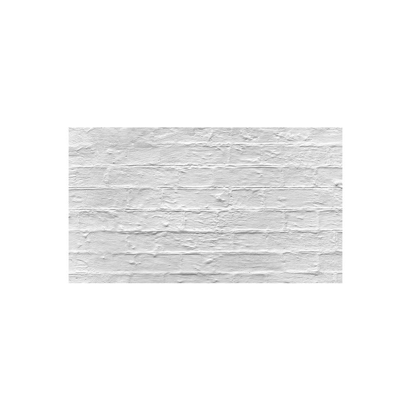 Caruba-Fundaluri-din-Hartie-10-Pachete-5x2-Platouri-Plane-06