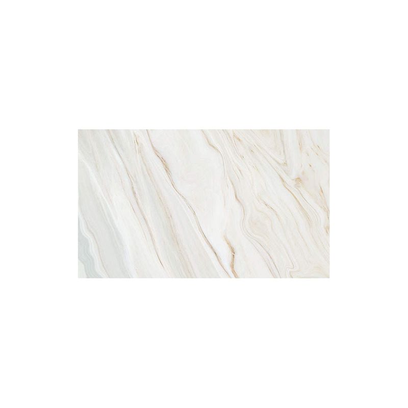 Caruba-Set-5-Fundaluri-Hartie-Plastifiata-cu-2-Fete-57x87-cm-06.06