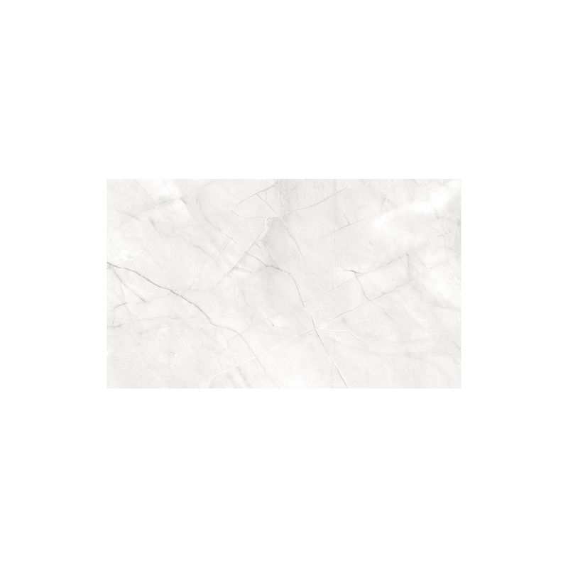 Caruba-Set-5-Fundaluri-Hartie-Plastifiata-cu-2-Fete-57x87-cm-15.15