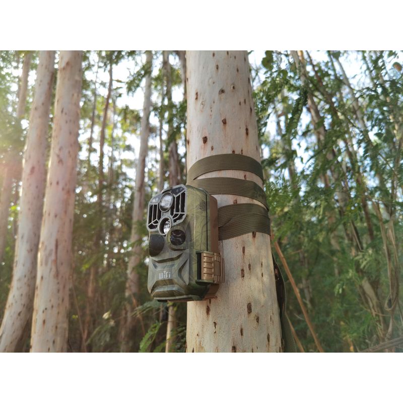 BRAUN-Scouting-Cam-Black800-WiFi.4